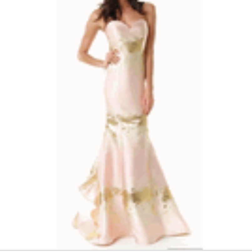 Alberto Makali Gown